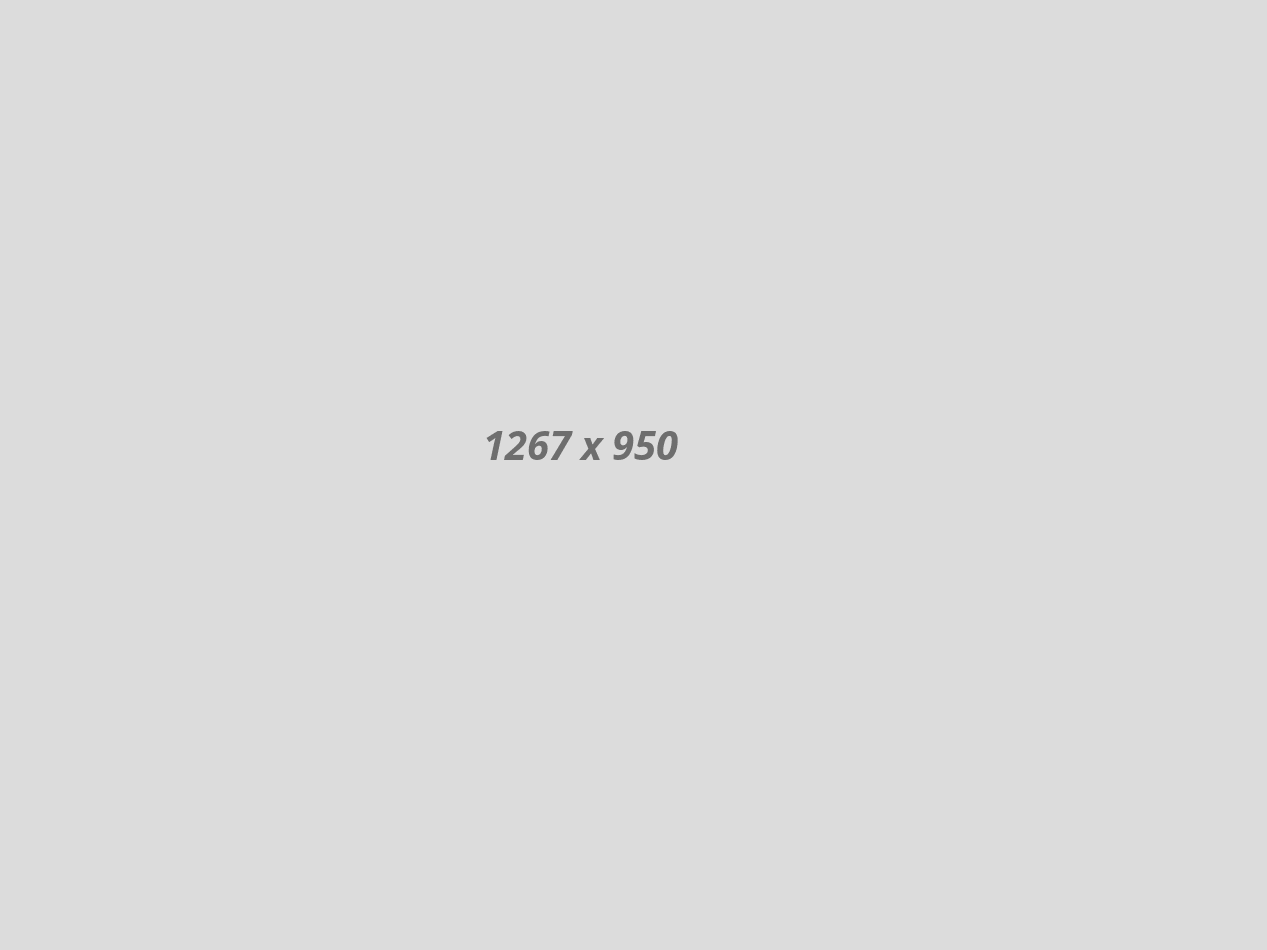 gallery013